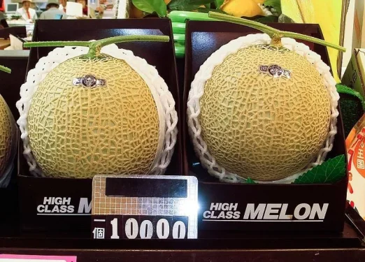 expensive-melon-in-japan.webp expensive-melon-in-japan.webp