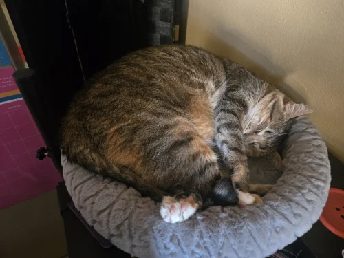 20250224_161051.webp 20250224_161051.webp