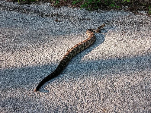 453725930_3712179619036138_3153233705686275102_n.webp 453725930_3712179619036138_3153233705686275102_n.webp