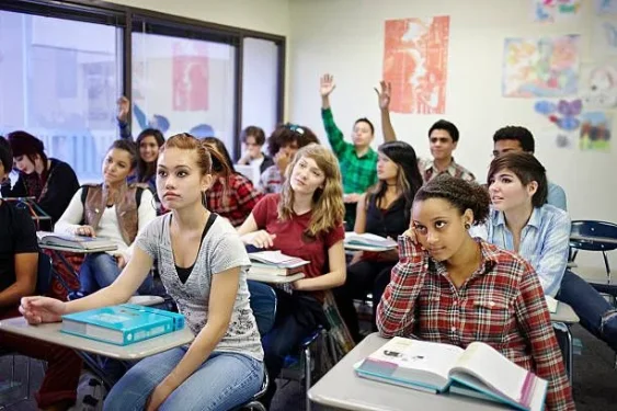 1001094667.webp 1001094667.webp