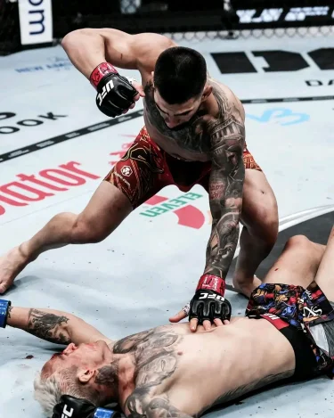 1001317196.webp 1001317196.webp