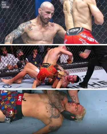 1001317653.webp 1001317653.webp